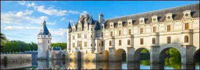 Quel fleuve passe dans la ville de Nantes ?