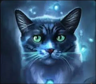 Le premier chat revint à son tour laissant une trainée d'étoiles derrière lui. Les trois se regardèrent puis acquiescèrent. Puis ils te dirent qu'ils avaient été choisis pour donner la vie et qu'à base des réponses aux questions, ils donnaient une personnalité à leur création qui ensuite était envoyée dans le monde des vivants, au pied d'une femelle prête à s'en occuper.