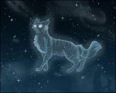 Les trois chats semblaient tristes de devoir se séparer à nouveau de l'une de leur création. Ils te touchèrent du bout du museau et récitèrent des paroles sages et mélancoliques. Soudain une lueur surgit de ton abdomen et t'emporta avec elle dans un monde lumineux avec bien moins d'étoiles mais plus de chats qui sourirent avec douceur.
-"Bienvenue au monde, petit chaton !" te lança l'un d'entre eux.