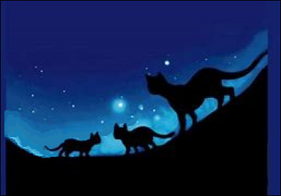 Tu es au Clan des Étoiles, tu ne comprends pas ce qui se passe. Trois grands chats vêtus d'étoiles te regardent et te disent qu'avant de te donner ta première vie, ils allaient avoir besoin de quelques informations sur toi : 
Tout d'abord, quel est ton signe astrologique ?