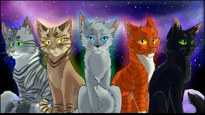 Quel chef n'a jamais eu de chatons ?