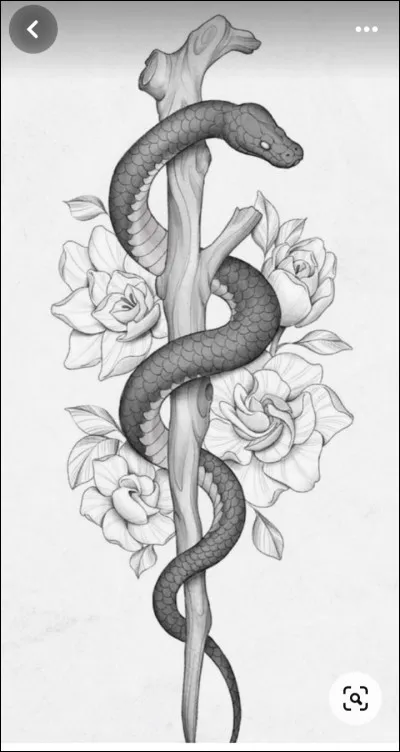 Tu préfères les dessins :