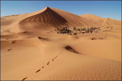 Vrai ou faux ? Dans les différentes régions du désert du Sahara, le thermomètre indique des variations entre 40 °C le jour et 5 °C la nuit.