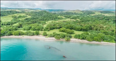 Vrai ou faux ? Les Îles Salomon se situent au sud-est de la Nouvelle-Zélande.