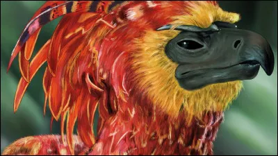 Quel est cet animal ?