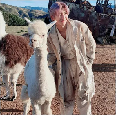Quel est lanimal préféré de Nam-joon (RM) ?