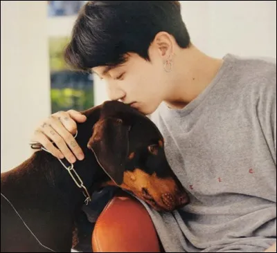 Quel est lanimal préféré de Jungkook ?