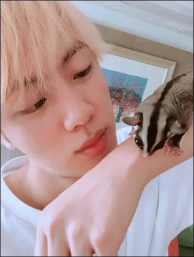 Quel est lanimal préféré de Jin ?
