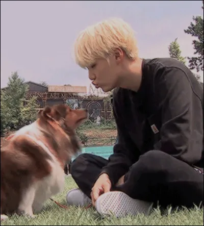 Quel est lanimal préféré de Yoon-gi (Suga) ?