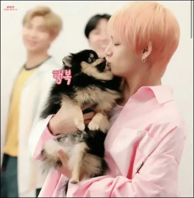 Quel est lanimal préféré de Tae-hyung (V) ?