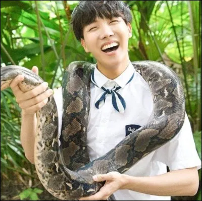 Quel est lanimal préféré de Ho-seok (J-Hope) ?