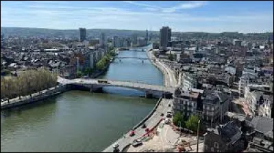 Quel fleuve traverse la ville belge de Liège ?
