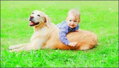 Cohabite-t-il bien avec les enfants ?