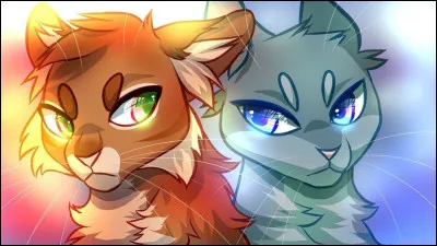 Il est lheure que tu deviennes apprenti(e), choisis ton mentor.