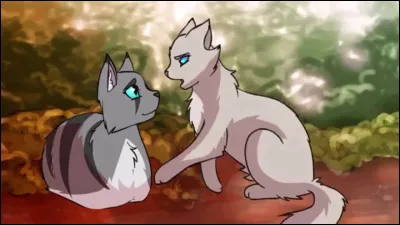 Il y a une bagarre au camp, que fais-tu ?