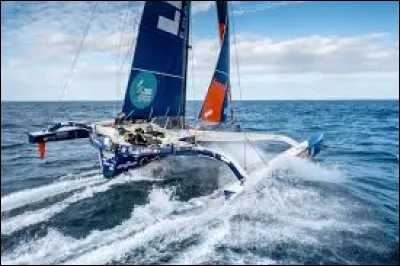 Quand la "Route du Rhum" a-t-elle lieu ?