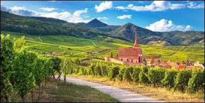 Dans quelle ville alsacienne débute la route des vins d'Alsace ?