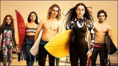 Quelle est cette série ?