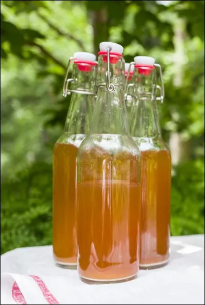 Quelle est la boisson alcoolisée traditionnelle de Russie depuis plus de 1000 ans ?