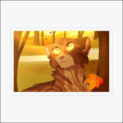 Combien a-t-il de frères et surs ?