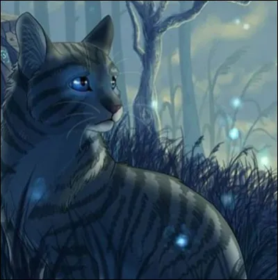 Voici le chef. D'après toi, quel est son nom ?