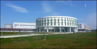 Complétez le titre de Lanza Del Vasto, : "Le pélerinage..."