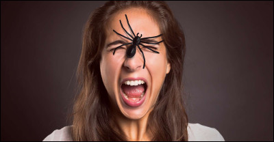 Dans quelle phobie a-t-on peur des araignées ?