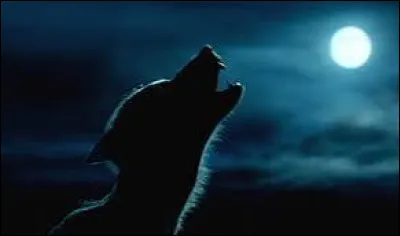 À cause de qui est-il devenu loup-garou ?
