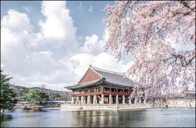 Quelle est ta ville préférée ?
Je te conseille de chercher la ville si tu ne la connais pas.