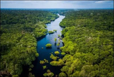 Combien de pourcentage du territoire brésilien est rempli par la forêt amazonienne ?