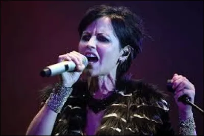 Quel est le nom de la chanteuse du groupe irlandais The Cranberries ?