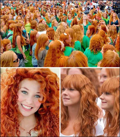 Quel est le nom du festival mondial dédié aux roux ?