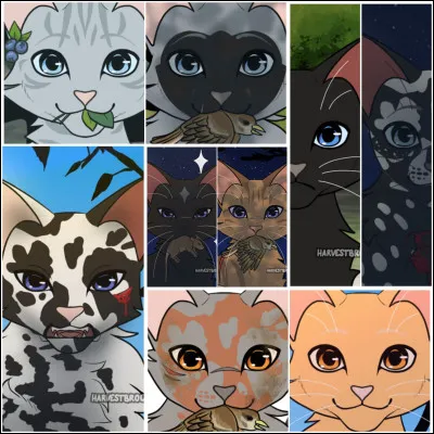 Quelle image préfères-tu ?