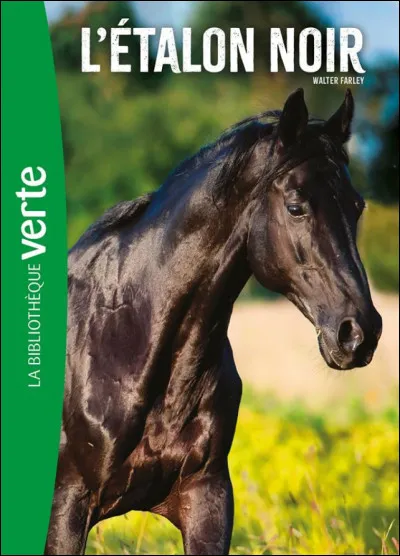 Dans "L'Étalon noir" (Walter Farley), comment s'appelle le cheval ? Et comment s'appelle son propriétaire ?