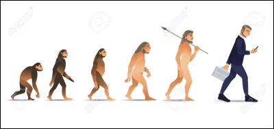 Vrai ou faux : l'homme descend du singe.