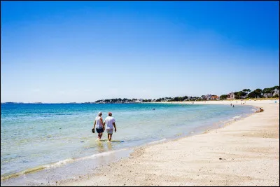 Qui chantait "L'Amour &agrave; la plage" ?