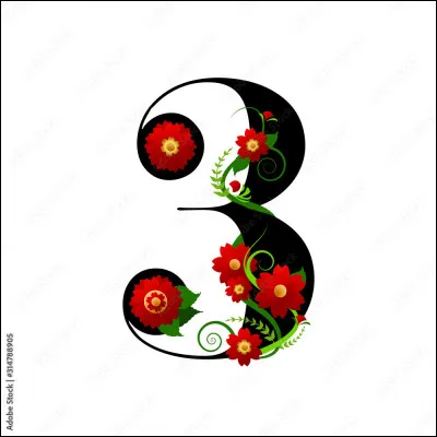 Qui a &eacute;crit "L'Amour dure trois ans" ?