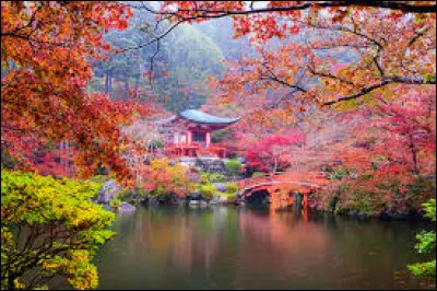 Les Japonais célèbrent le Nouvel An le 1er janvier selon le calendrier lunaire.