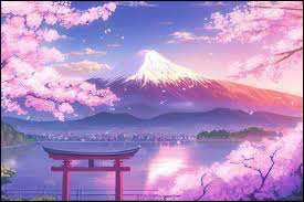 Quiz Japon