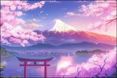 Le Japon est composé d'un total de 47 préfectures.