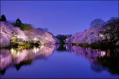 Le Japon est le premier pays à voir le lever du soleil chaque jour.