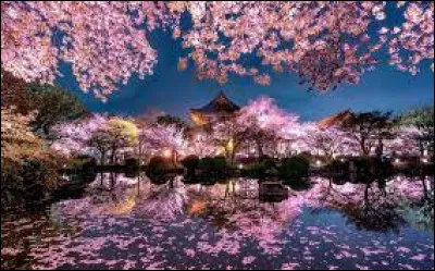 Le kendo est un art martial japonais qui utilise des sabres en bois.