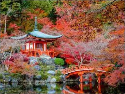 Le sushi est traditionnellement servi avec de la sauce soja.