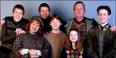 Trouve le Weasley caché dans ces propositions.