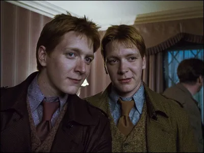 Qui fait partie de la famille Weasley ?