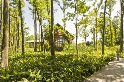 Quelle serait son activité préférée ?