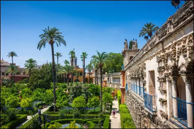 Qu'est-ce qu'une duègne ?