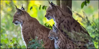 Vous me connaissez sous mon nom courant, mais j'en porte un autre, beaucoup moins connu, qui suis-je ?