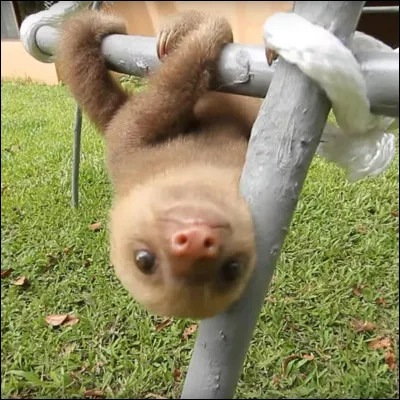 Tu te décrirais plutôt...