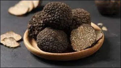 Où trouve-t-on des truffes noires du Périgord ?